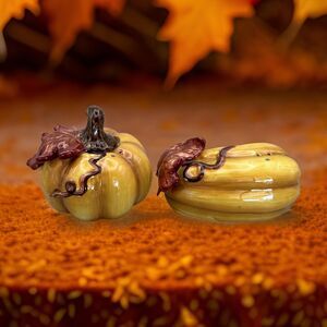 Vintage Ceramic Pumpkin and Gourd Salt and Pepper Shakers Fall Decor